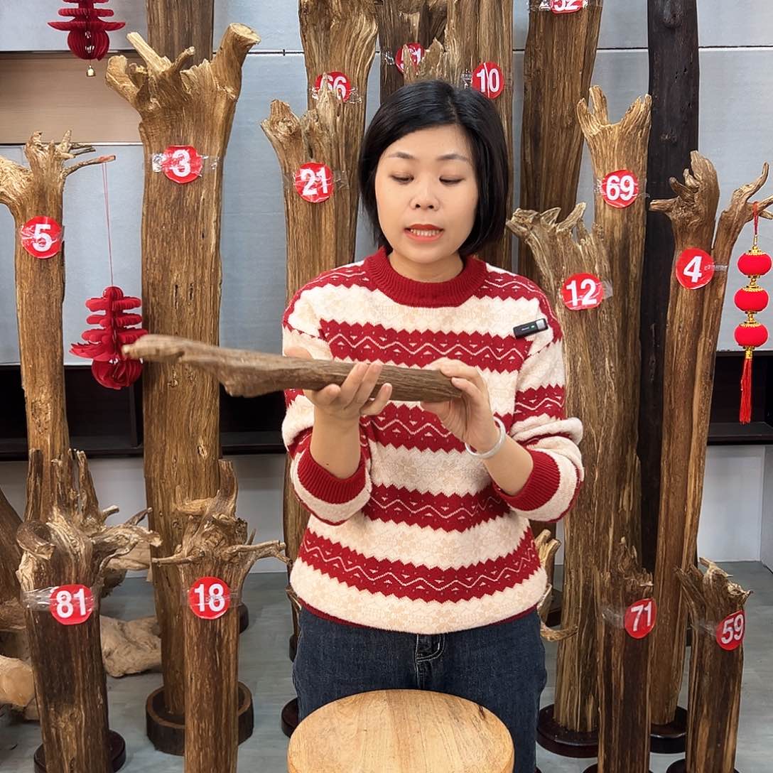 沉香摆件海南沉香摆件