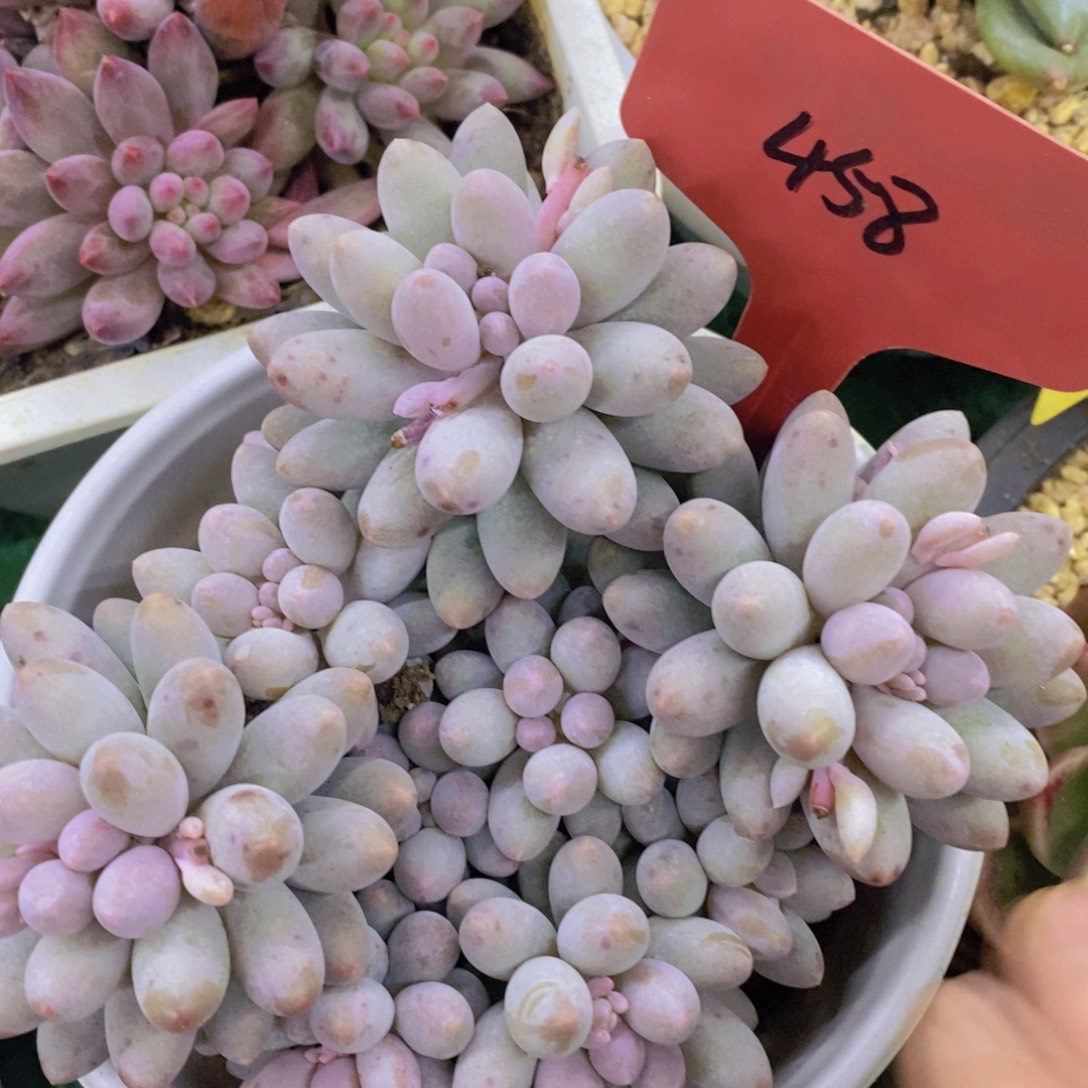 清货转场，一物一拍，看准