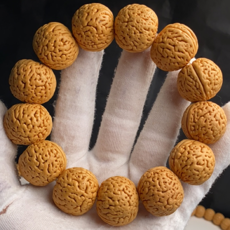 精品23尺寸大成军