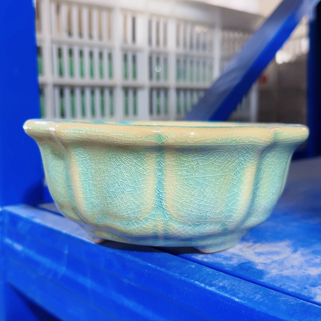 陶瓷花盆特价上新