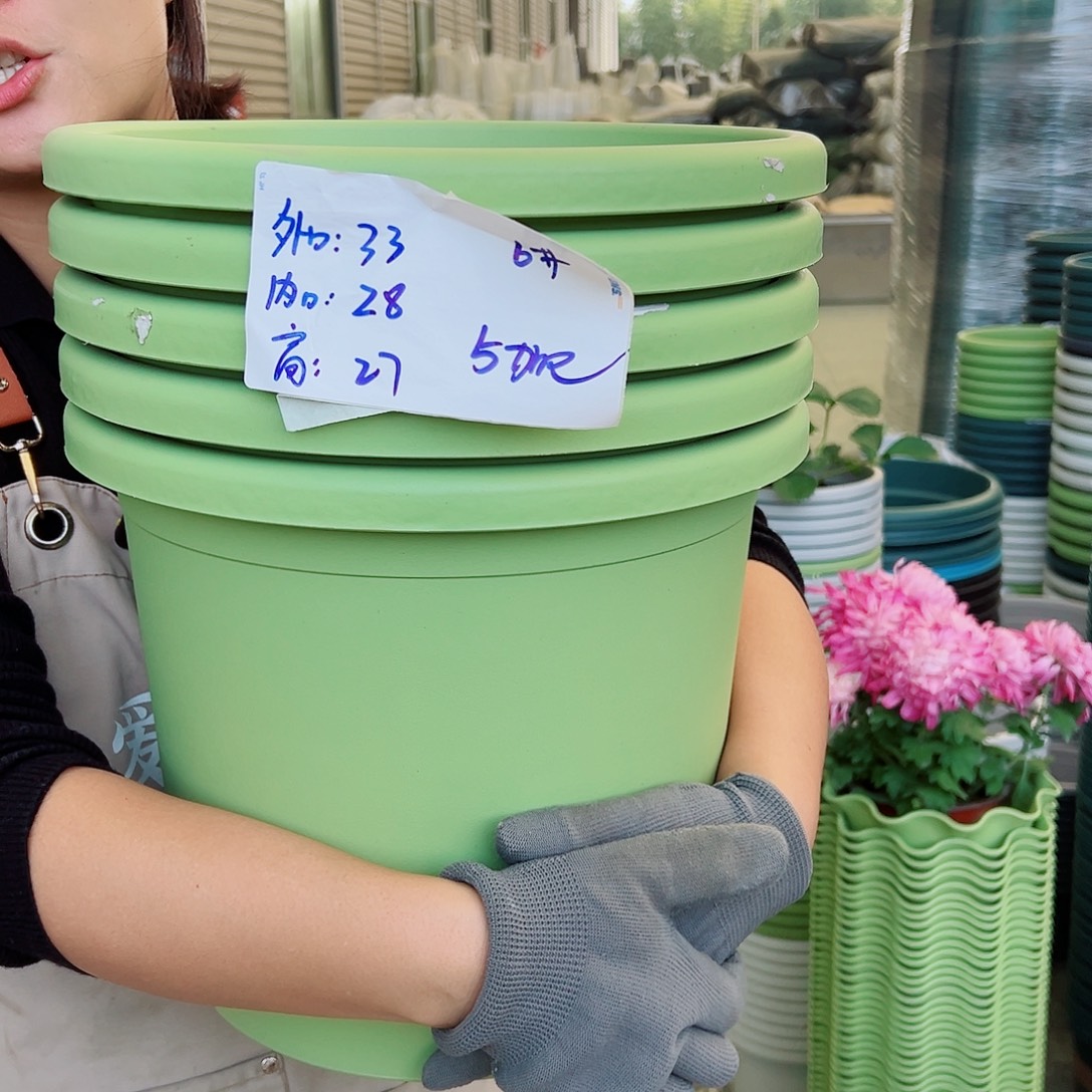 四季盆6#果绿色5个无托