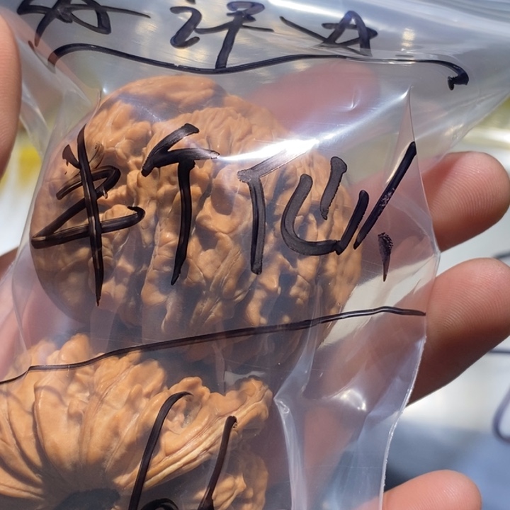半***人吊坠文玩核桃精品课程的教学和