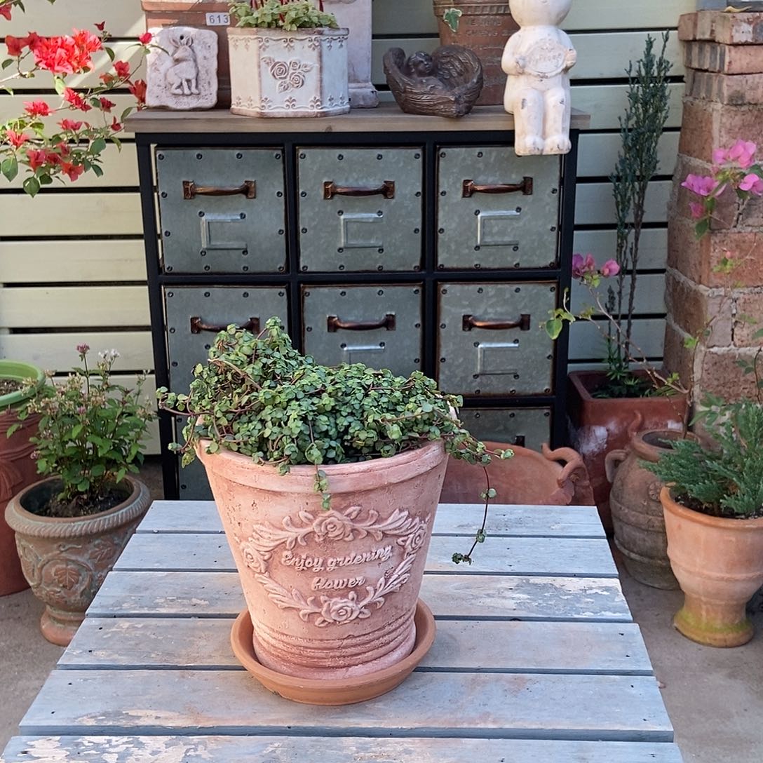 字母盆手压痕迹微瑕口15高15配托盘