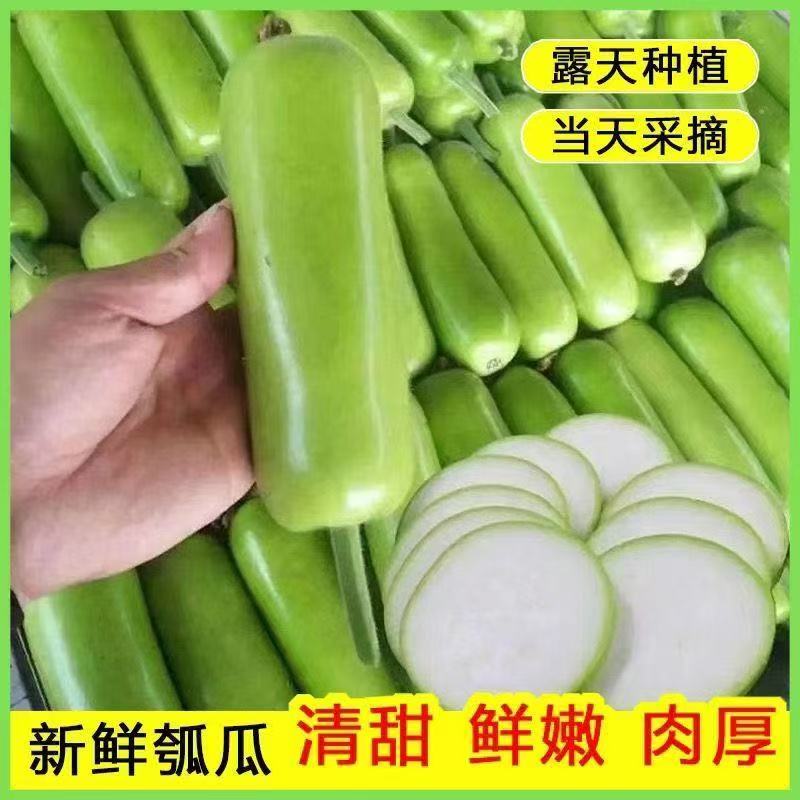 湖北新鲜瓠瓜5斤
