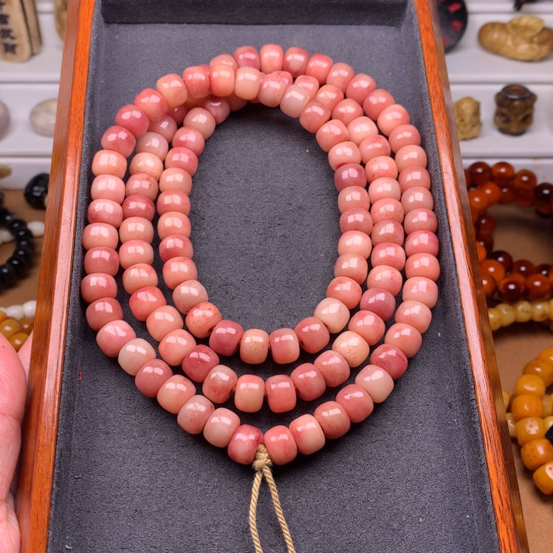 驼骨其他天天都在盘  10