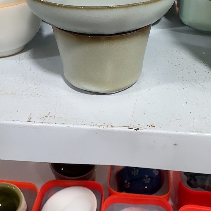 主人杯一个，瓷。。。