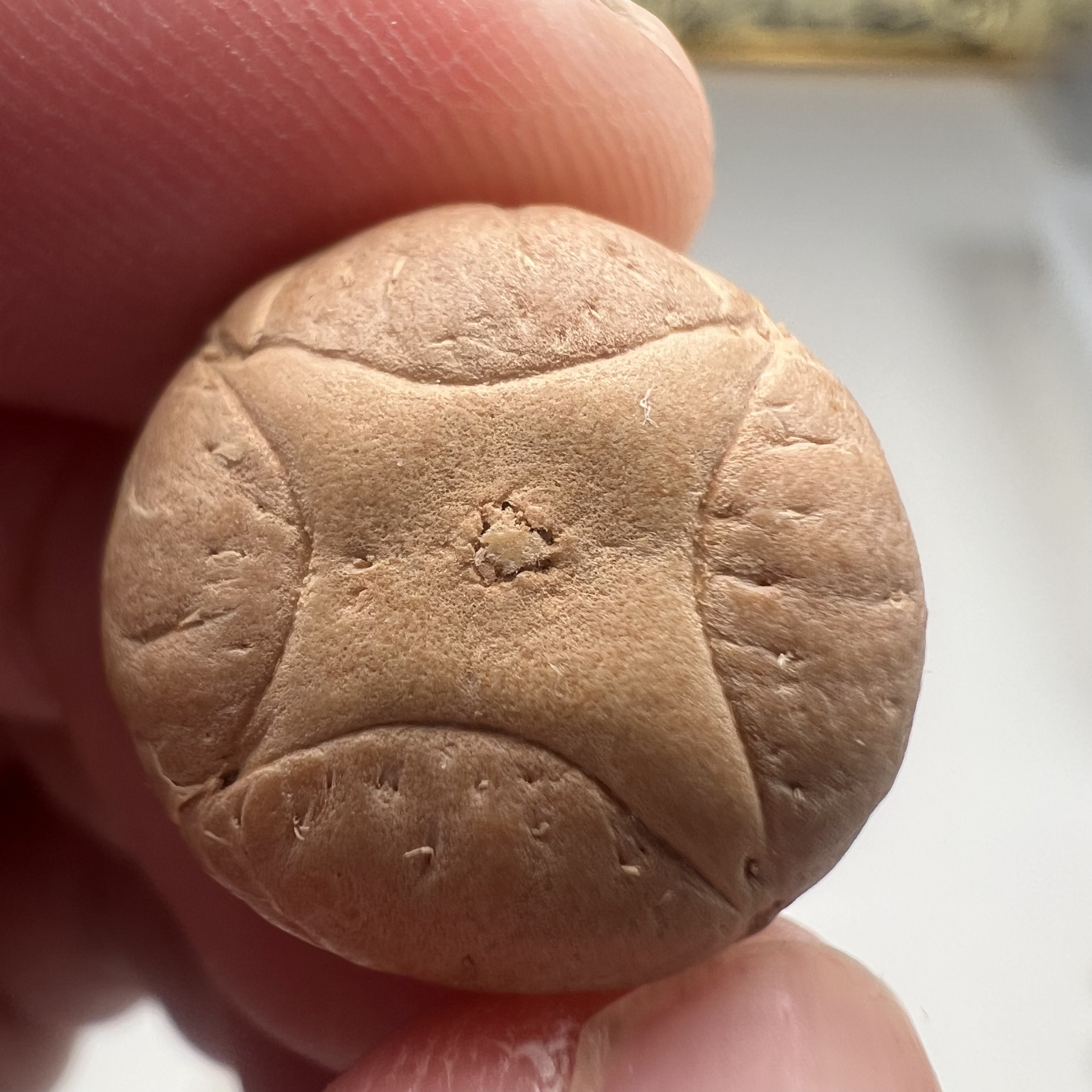 尼泊尔麒麟眼菩提尺寸18.6货号13