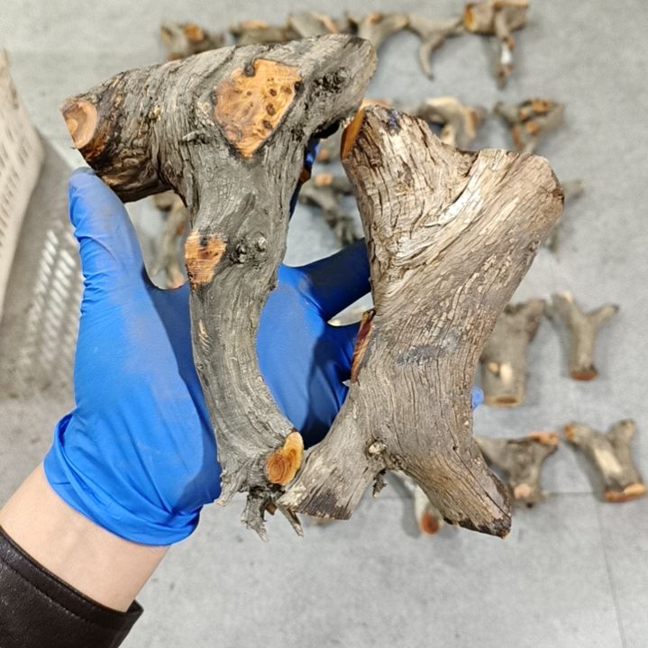 日***1香榧木崖柏随行毛料毛料毛料