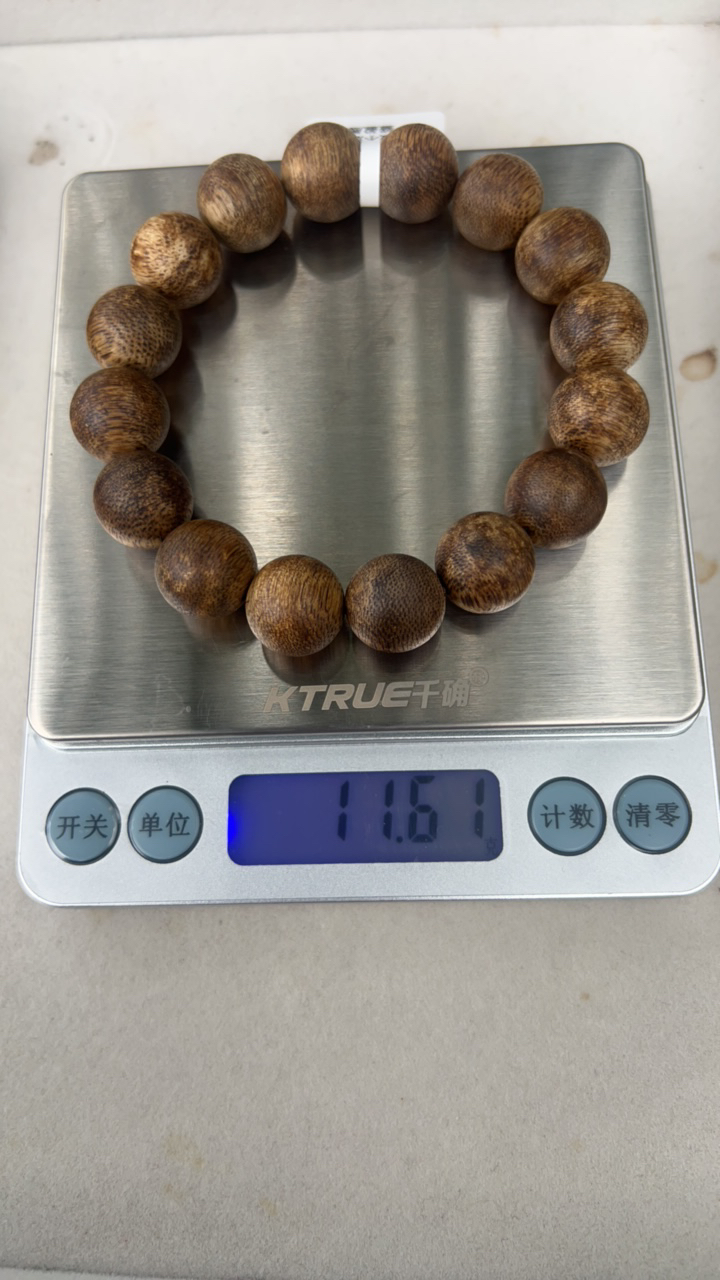 海南种植沉香一代苗绿棋楠1.4单圈