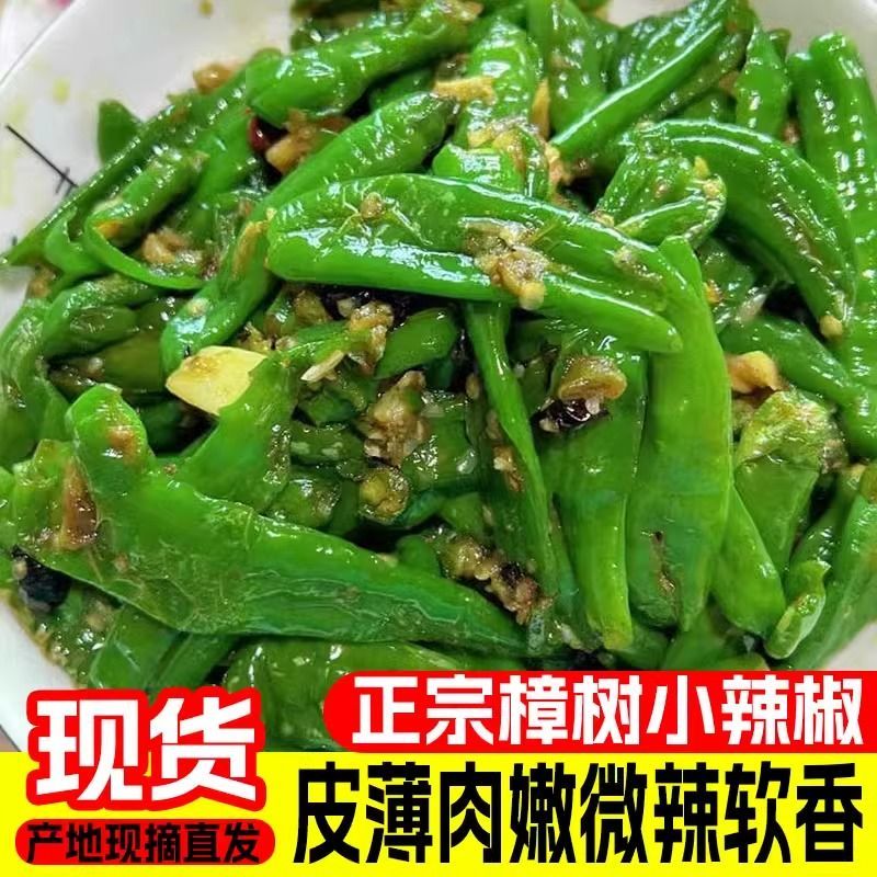 【微辣】湖南樟树镇辣椒农家自种薄皮辣椒新鲜香辣美味可口新鲜包邮