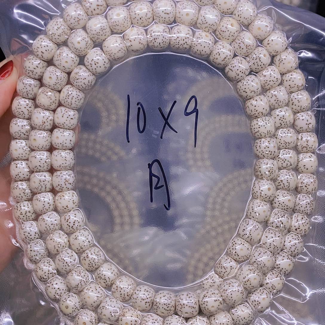 【闪购商品】星月菩提手串树*梦星月菩提
