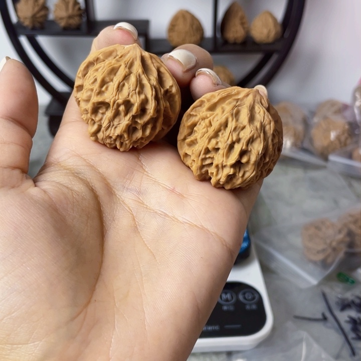 蔡*师灯笼。       
