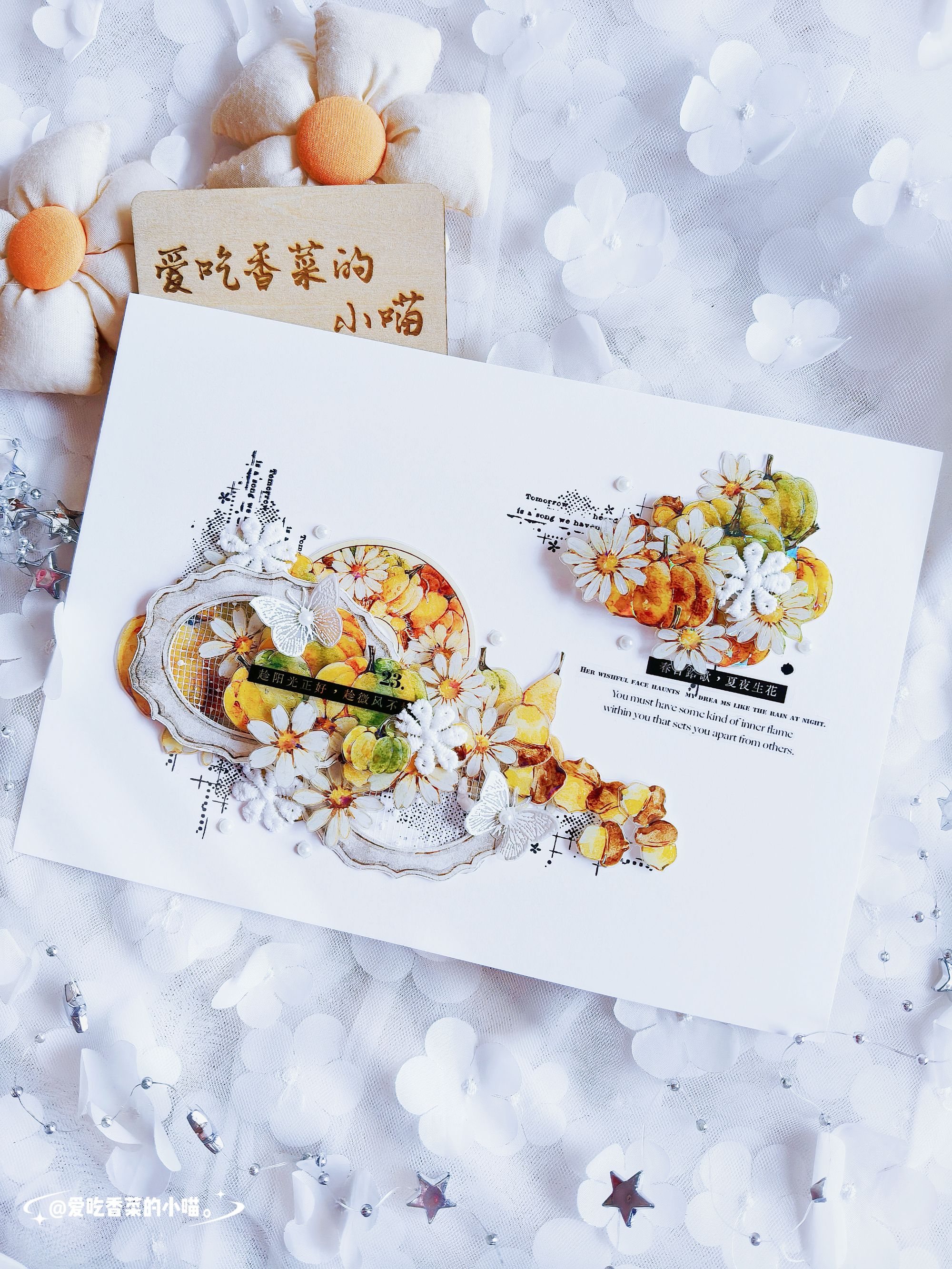 【11号】小白文具礼品套装合集