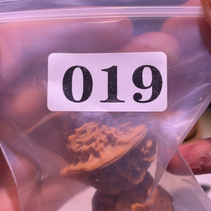 Z***z文玩核桃吊坠019天地