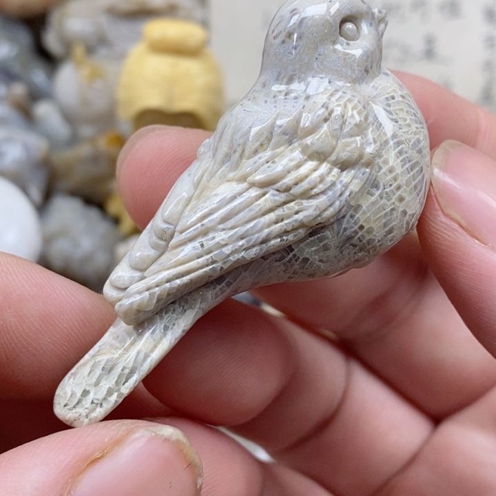 颈饰未镶嵌硅化珊瑚（珊瑚玉）有瑕