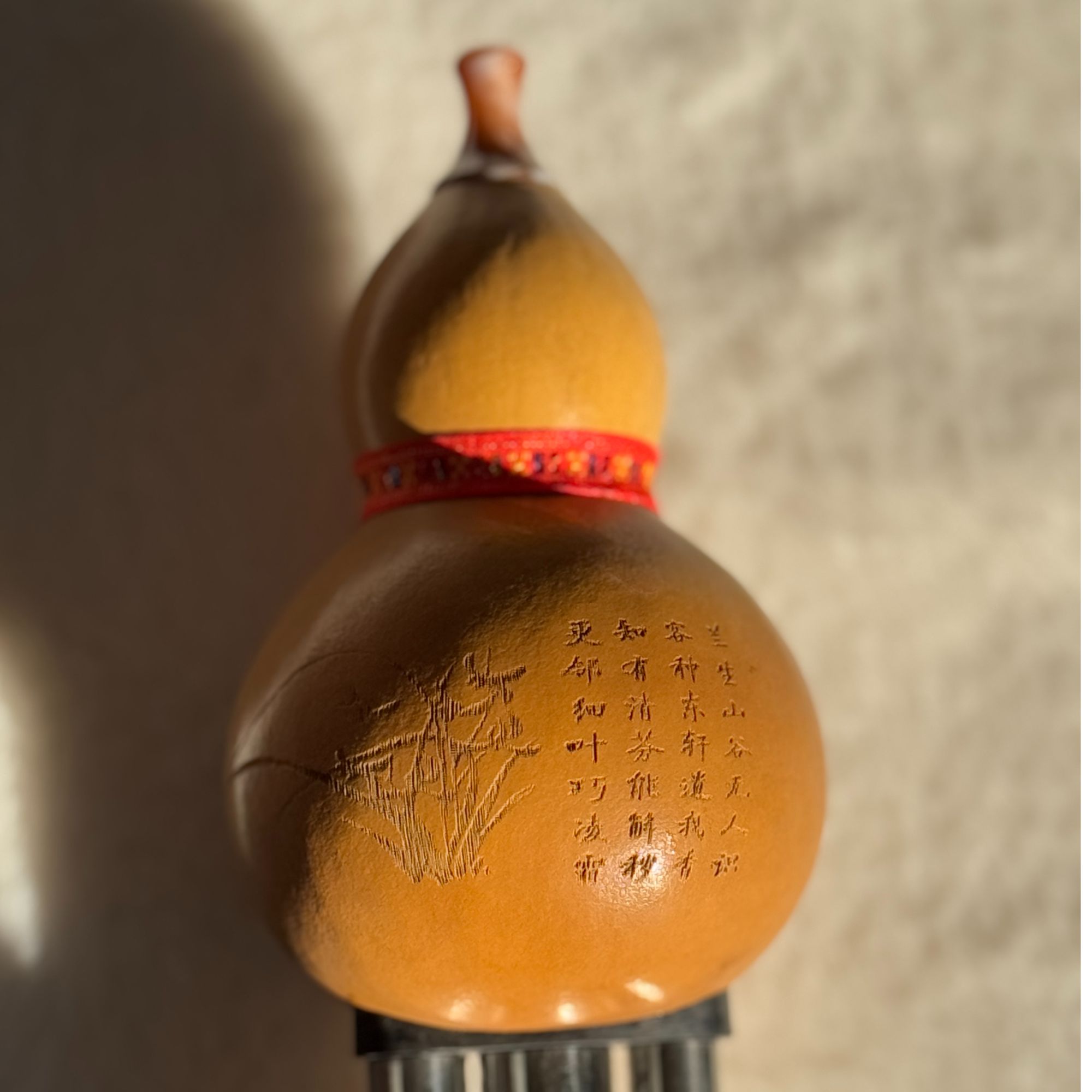 C调葫芦丝基础教学轻松易上手