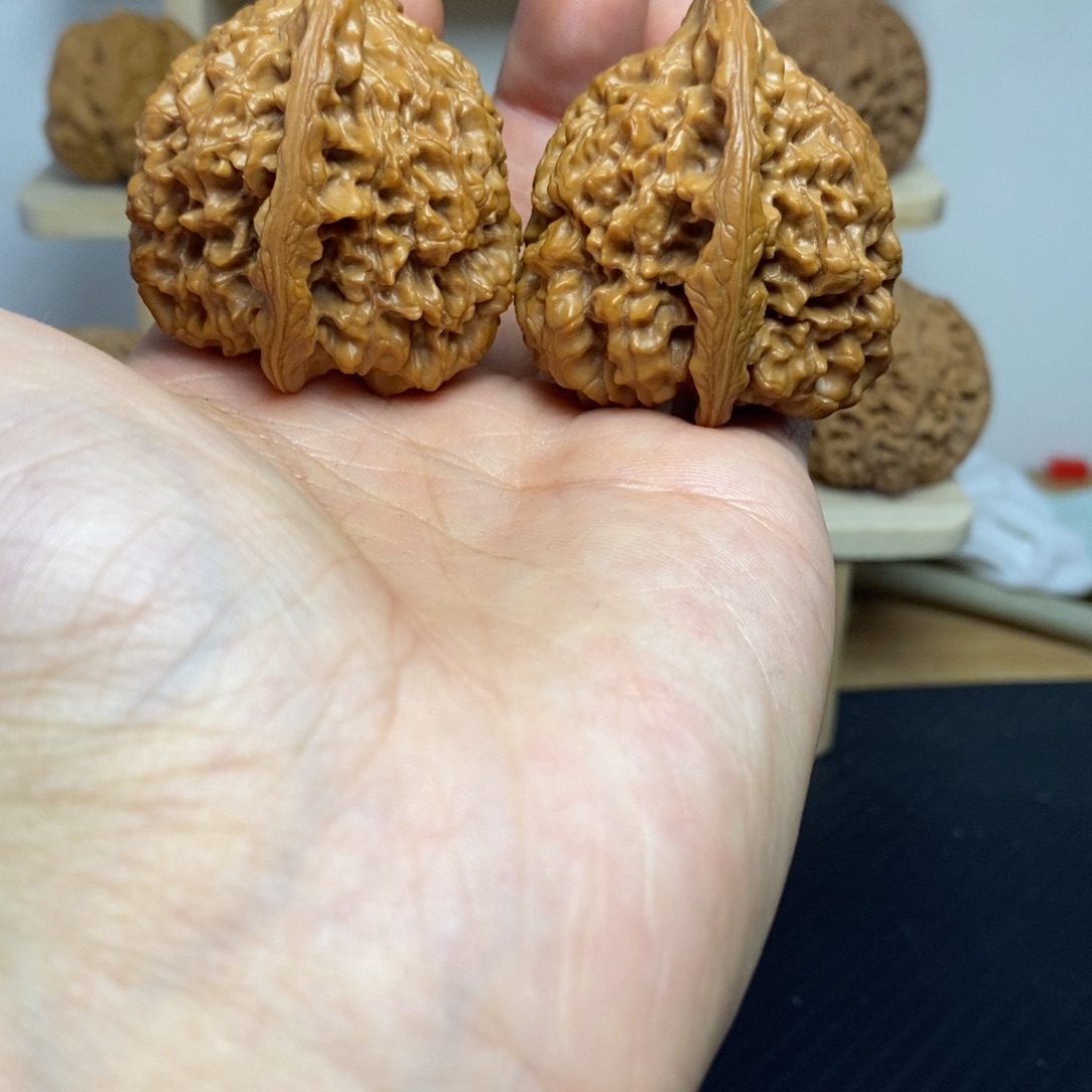 大叶紫檀（黑酸枝木类）45官帽