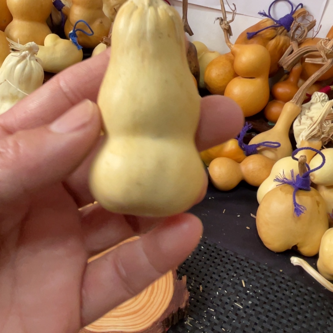 ****7葫芦葫哈哈哈哈哈哈哈哈