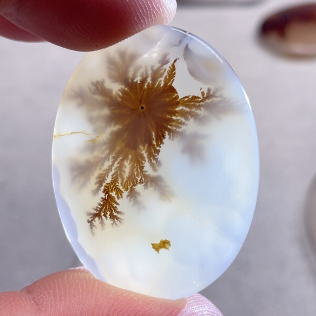 【闪购商品】玛瑙/玉髓颈饰合金