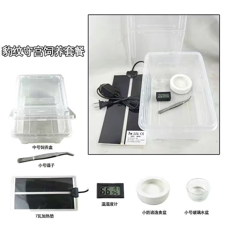 守宫饲养箱爬宠用品加热垫温控角蛙蛇宠物饲养盒套装