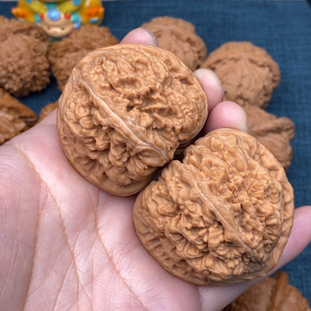 文玩核桃把件团*?48毕业粗筋全品