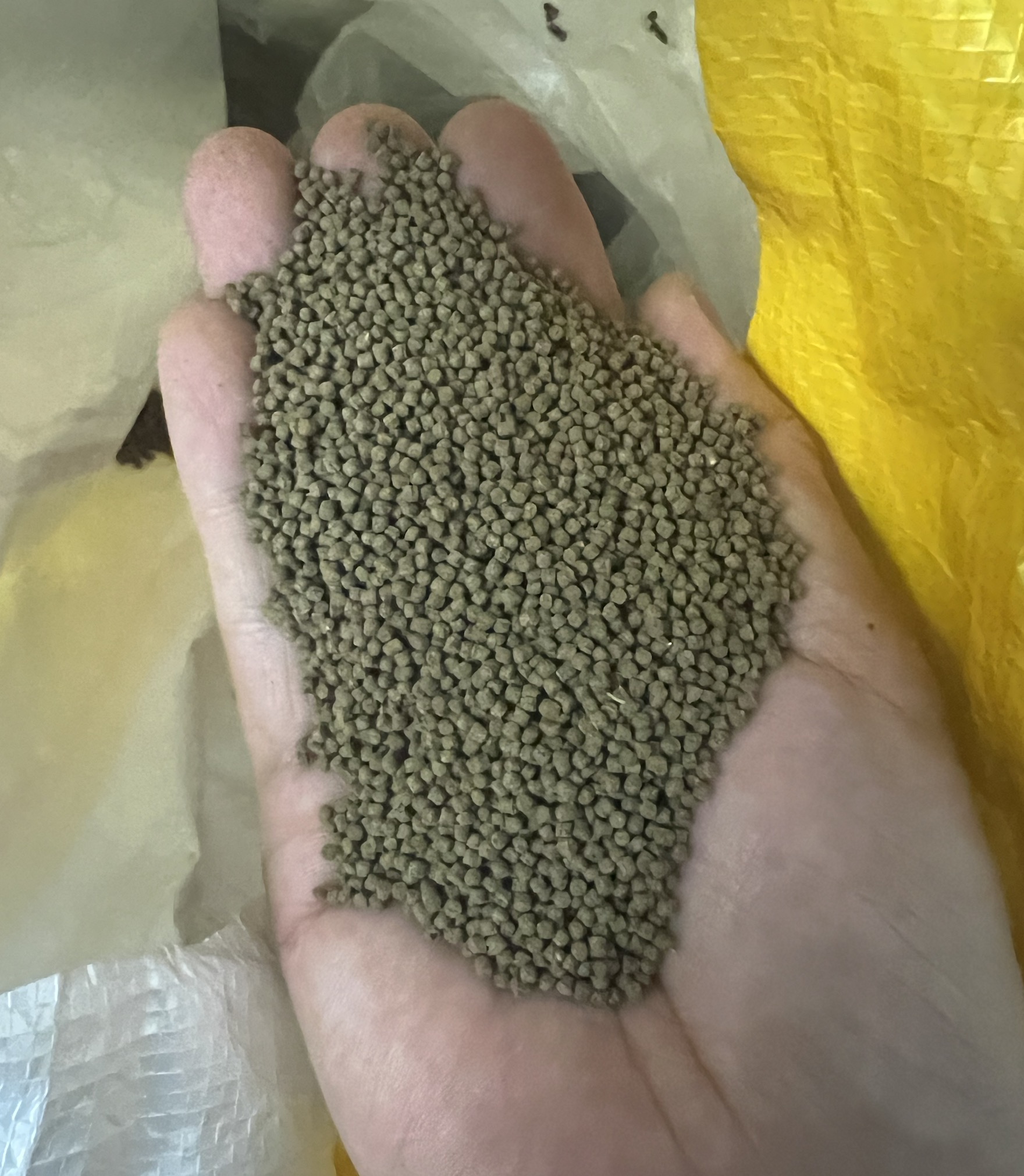 福州阿龙兰寿金鱼 饲料