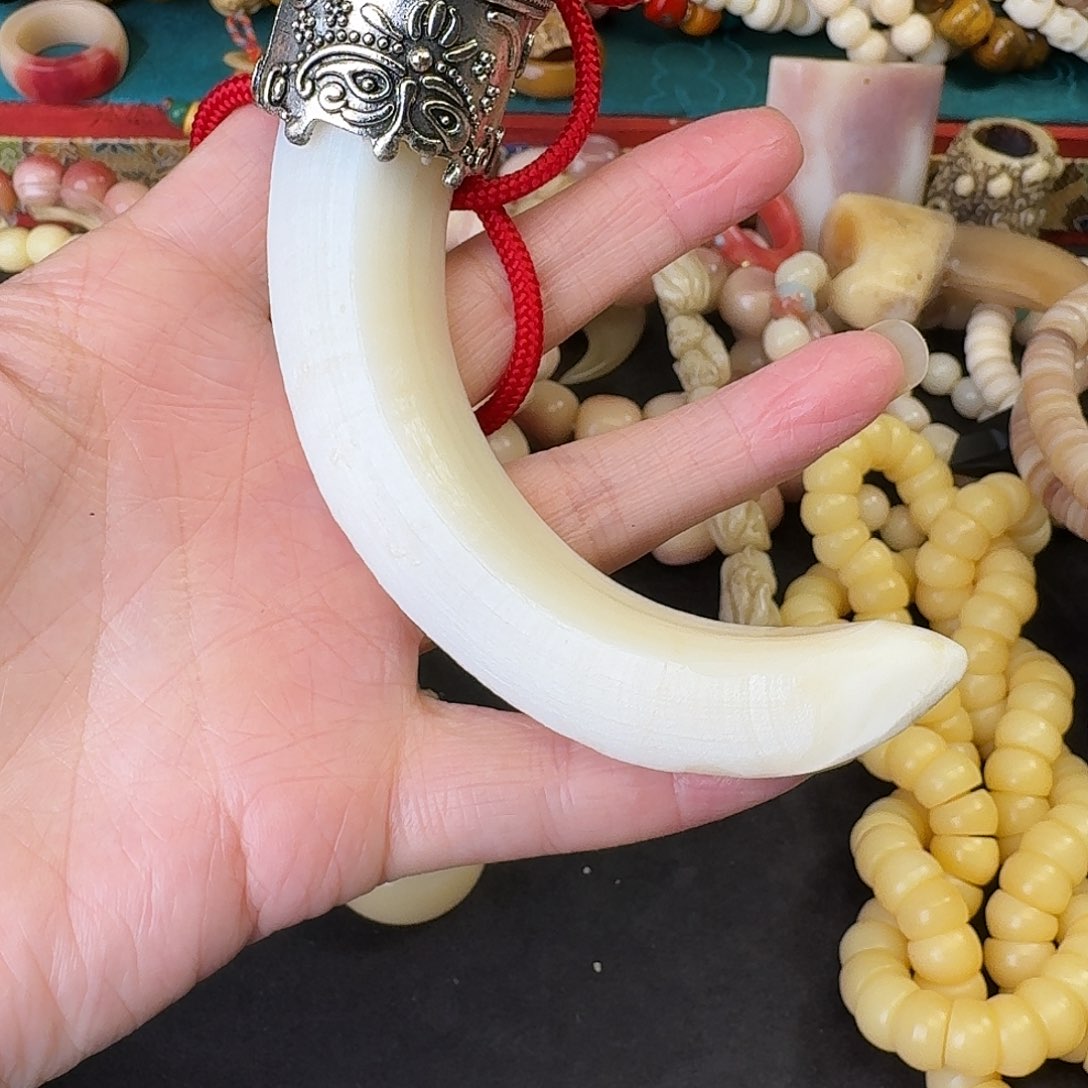 驼骨其他行***肉牙牙手把件