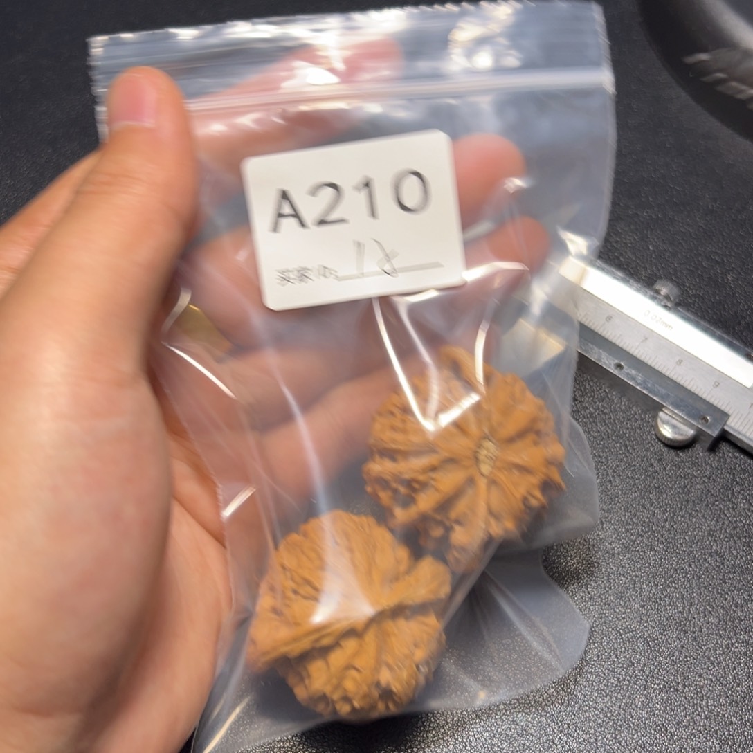 核桃把件哈哈哈哈