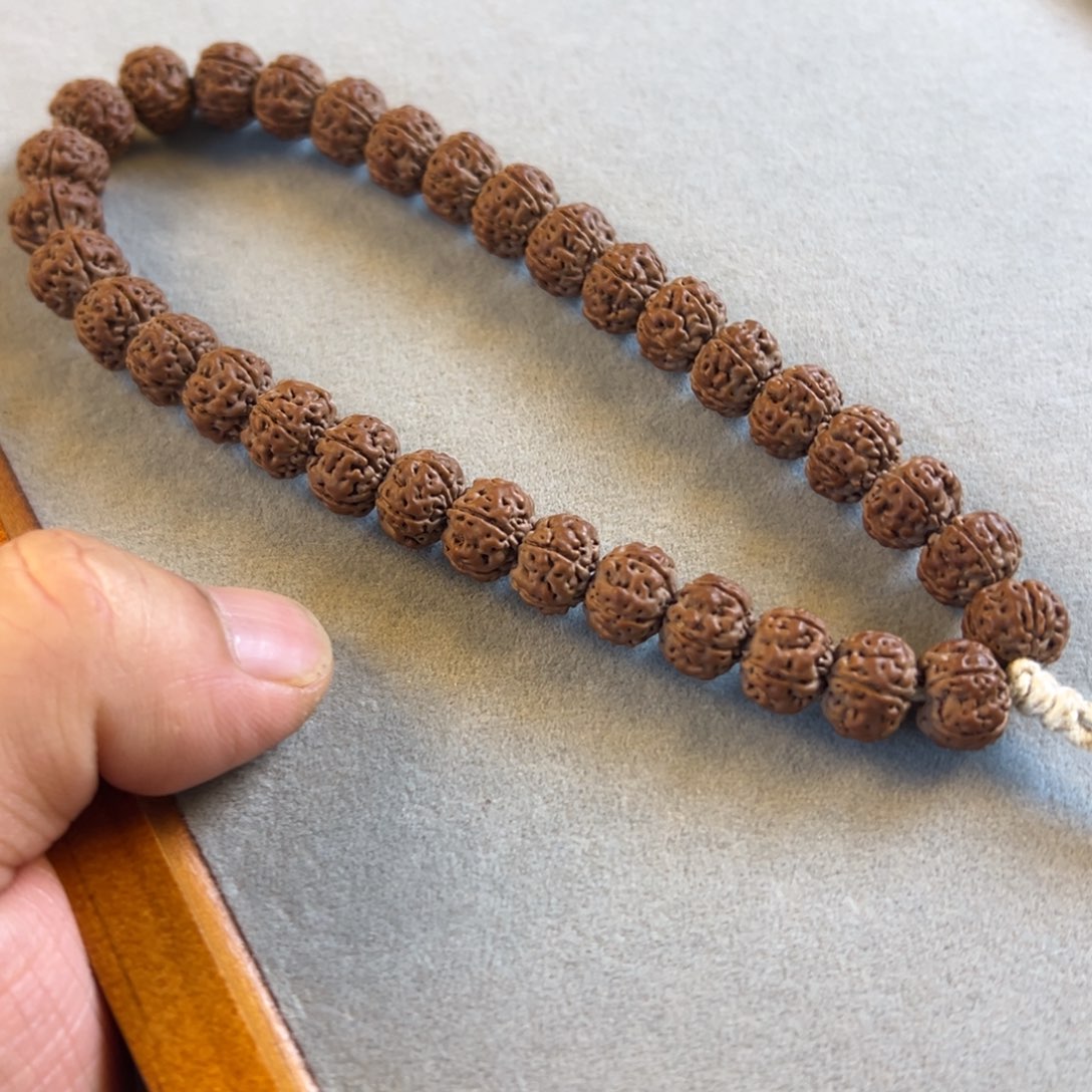 老树王小金刚手持尺寸11