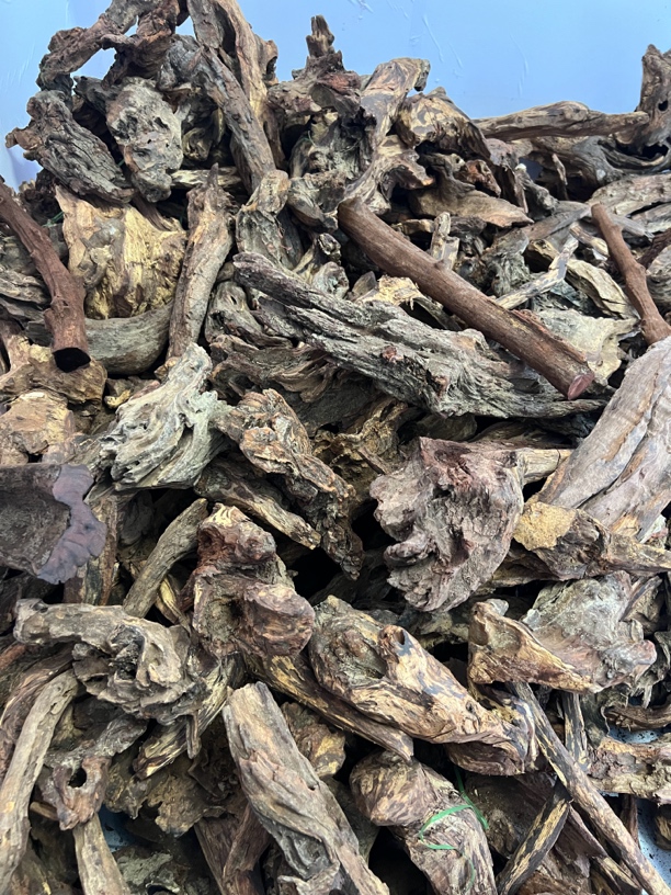 海南黄花梨原木料直播间专用拍单