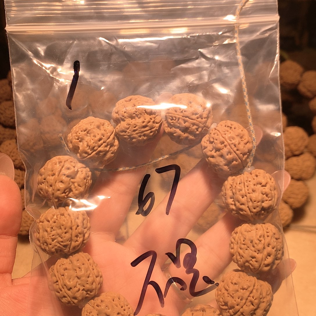 金刚菩提吊坠不**宾1。               