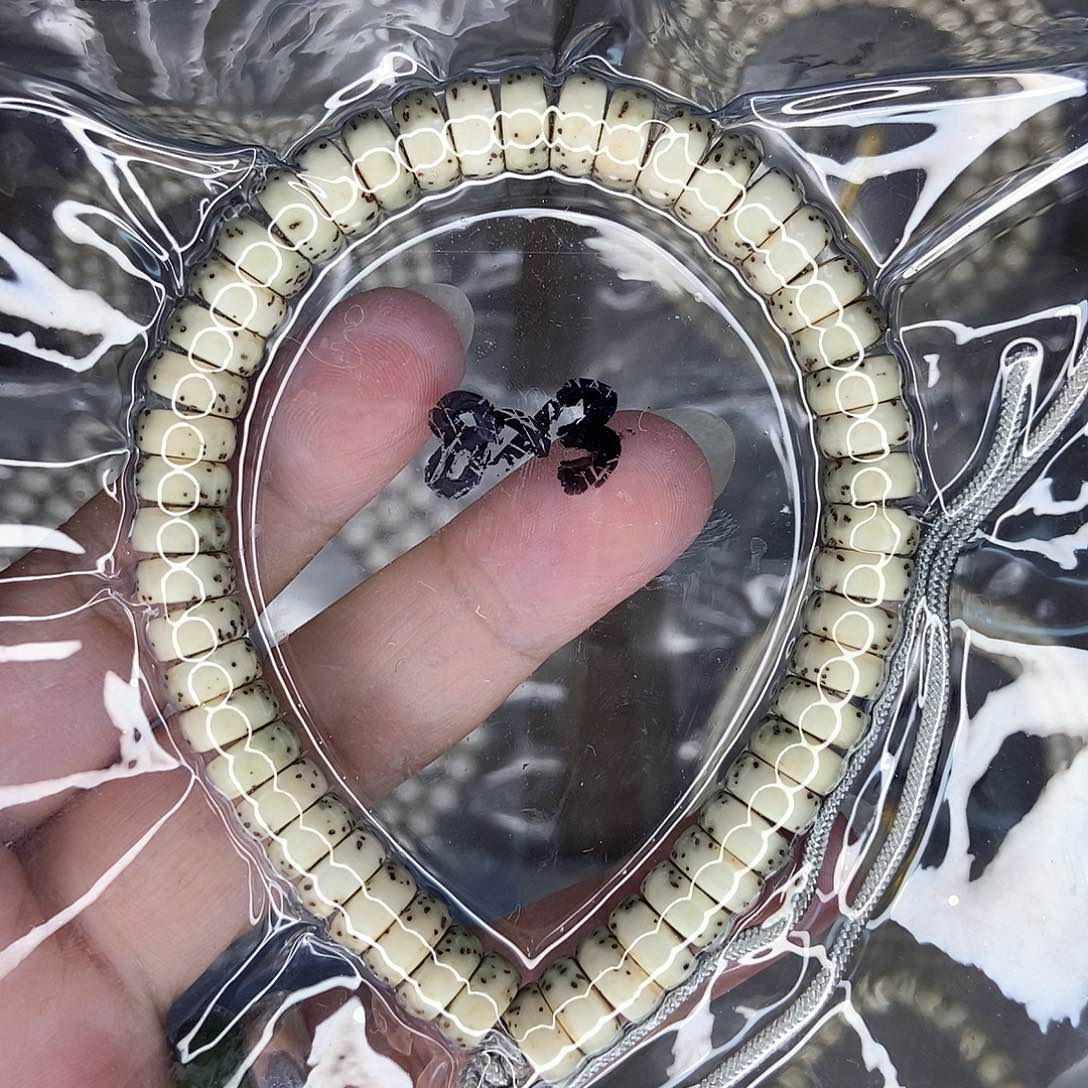 星月菩提手串星月