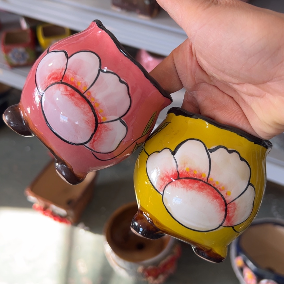 花盆，满20米发货，爱退款拉黑