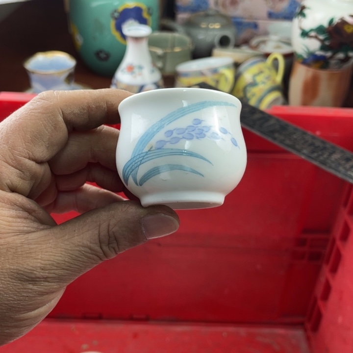 碟开播了开播了开播了