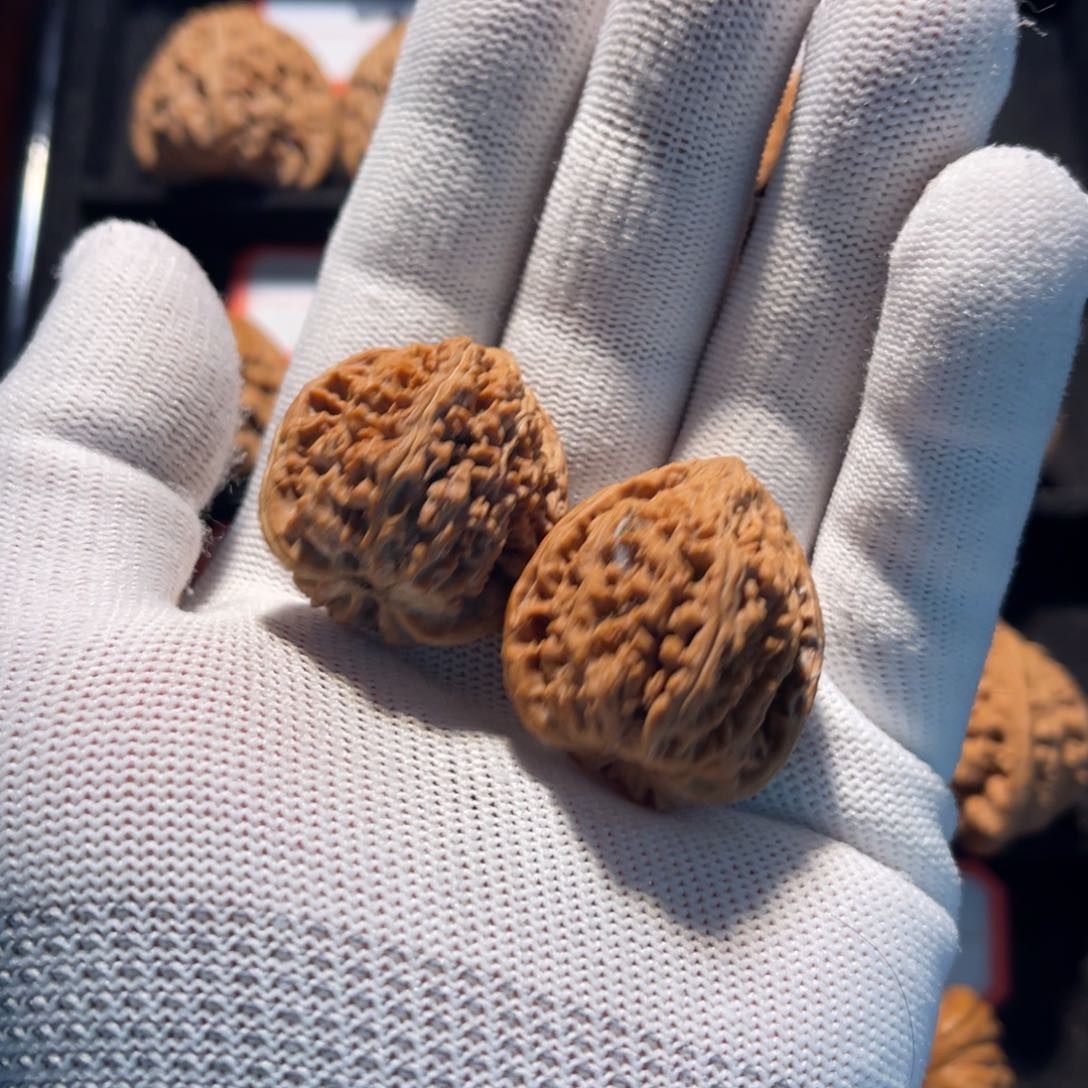 暴****头秦皇岛山地果全品—01