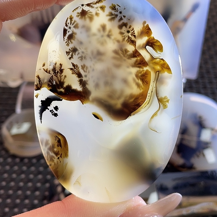 石***歌玛瑙/玉髓未镶嵌颈饰