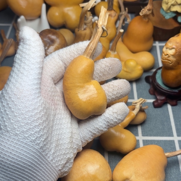 友****葫芦6666666666666