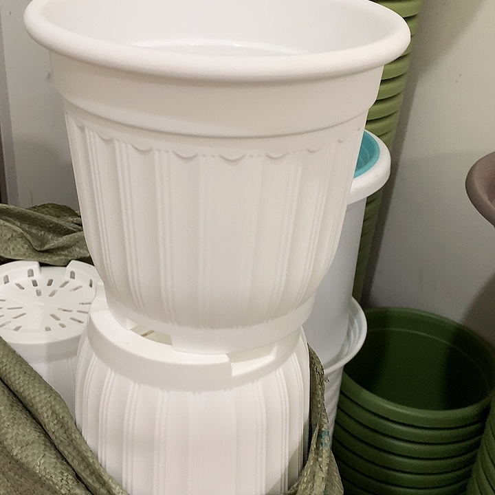 罗马口18高16白5个