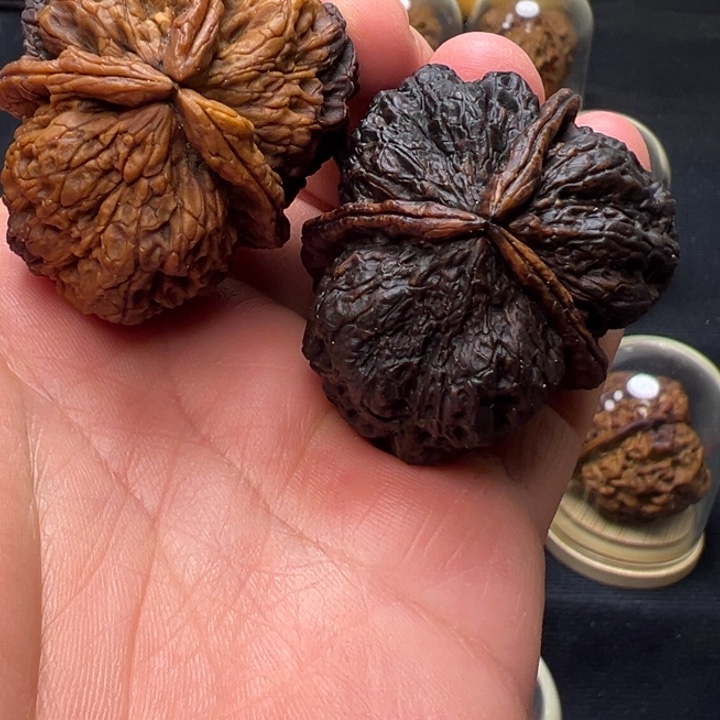 文玩核桃把件金刚佛手44·5mm三棱