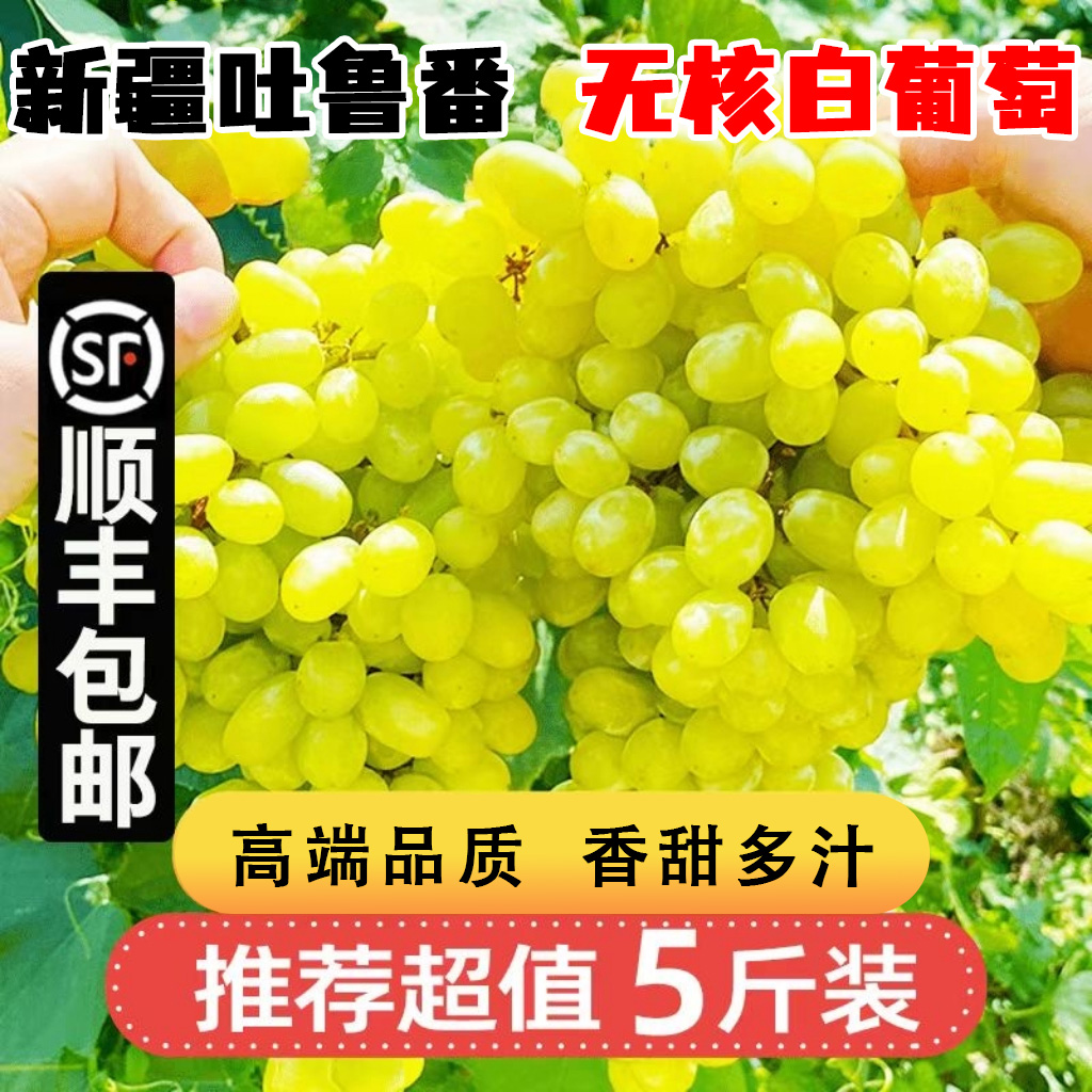 【E新疆无核白葡萄】无籽青提水晶葡萄马奶提 顺丰 0.5-5斤装