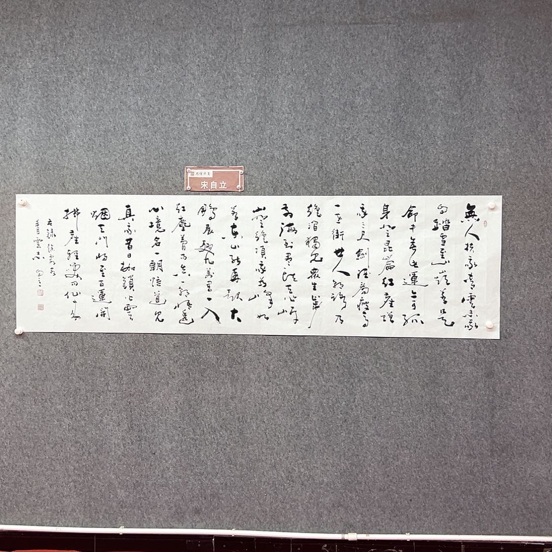 书法宋自立书法作品