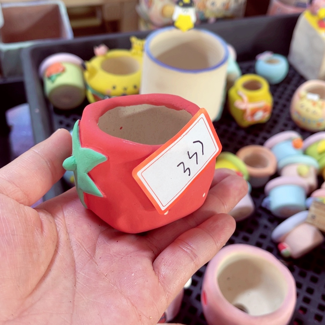 豆***豆333号带盆包邮发货