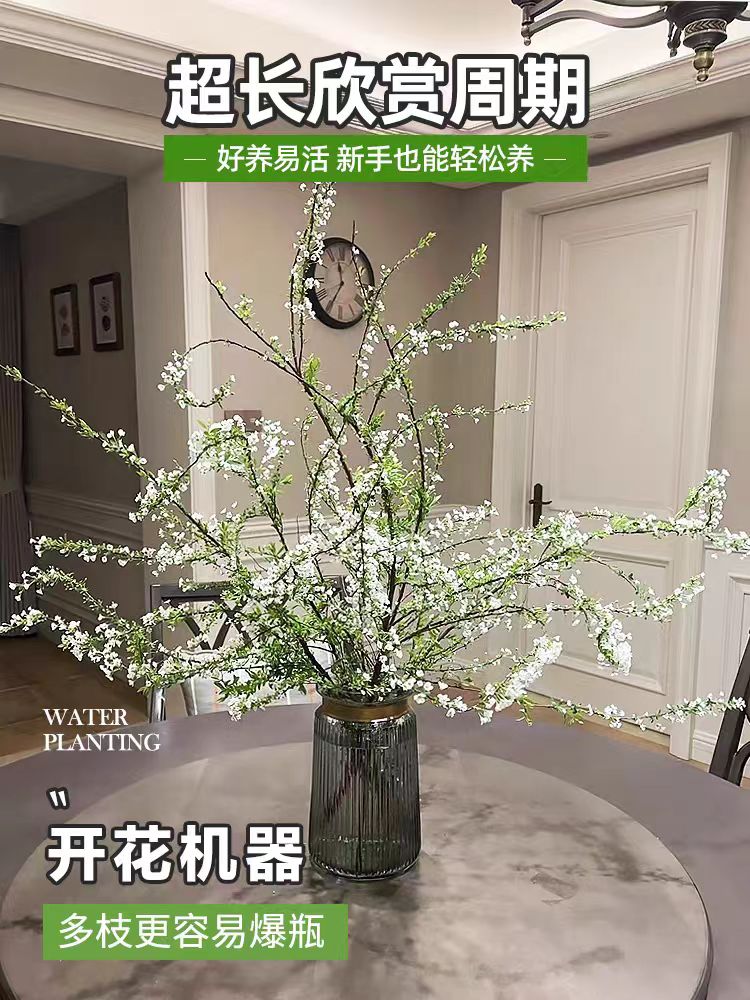 雪柳鲜枝带花苞水培干枝插水养绿植龙柳店铺任意两单随机送配草