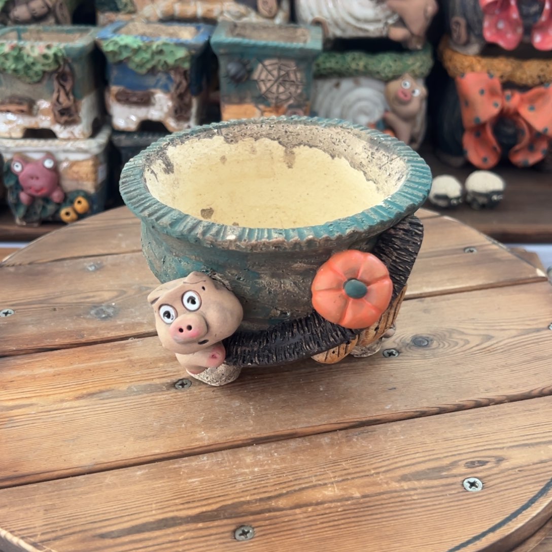 红陶嘻哈多肉花盆