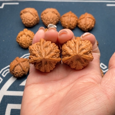 橄榄核手串/手链文山三棱32