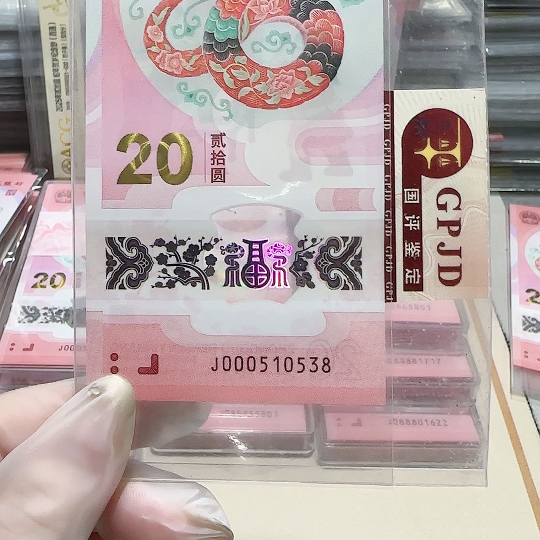 塑料000510538。。。。。。。。小司令