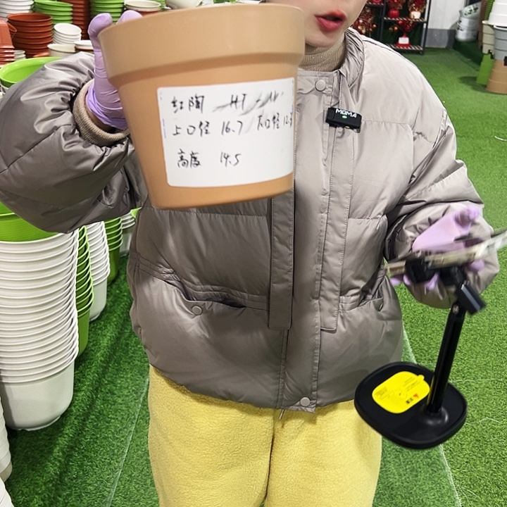 正品红陶口16.7高14.5卡其色6只无托