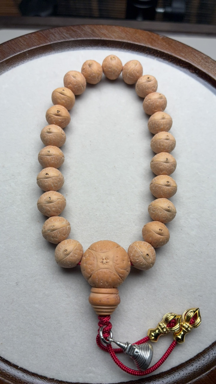 11尺寸实心籽25年新籽