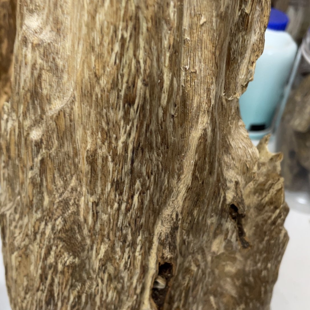 沉香摆件海南沉香熏香块料880克