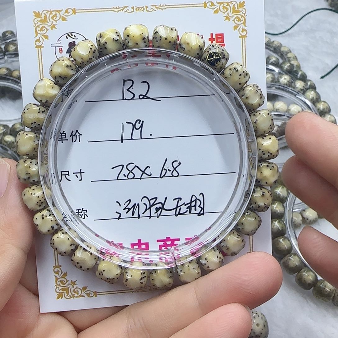 心月星月菩提一号B2